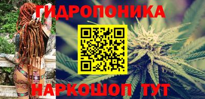 гашик Кинель