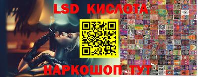 spice Кимры