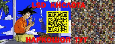 spice Кимры