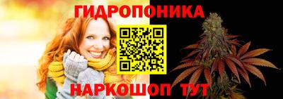 spice Кимры