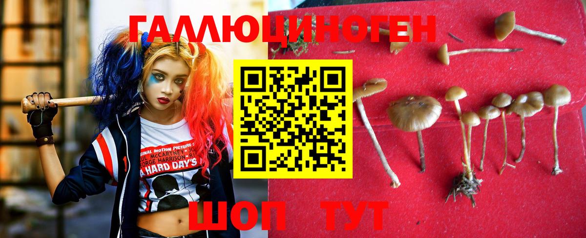 Галлюциногенные грибы мухоморы Усть-Джегута
