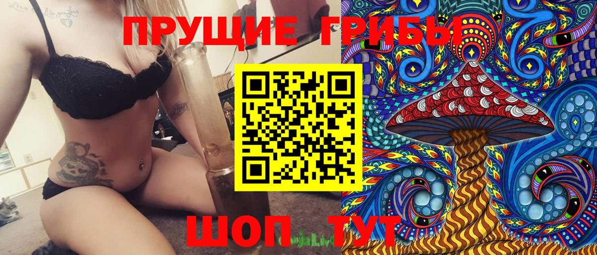 Псилоцибиновые грибы MAGIC MUSHROOMS  Вход с VPN  Усть-Джегута  Псилоцибиновые грибы Psilocybe 